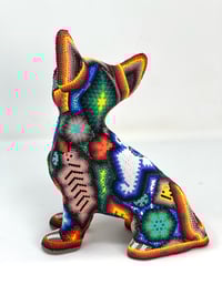 Image 4 of Chihuaha