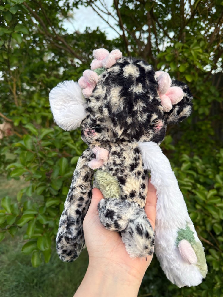 Image of Blossom collector