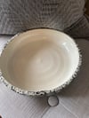 Dog Dish
