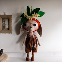 Image 1 of Clementine Blossom Kitty 