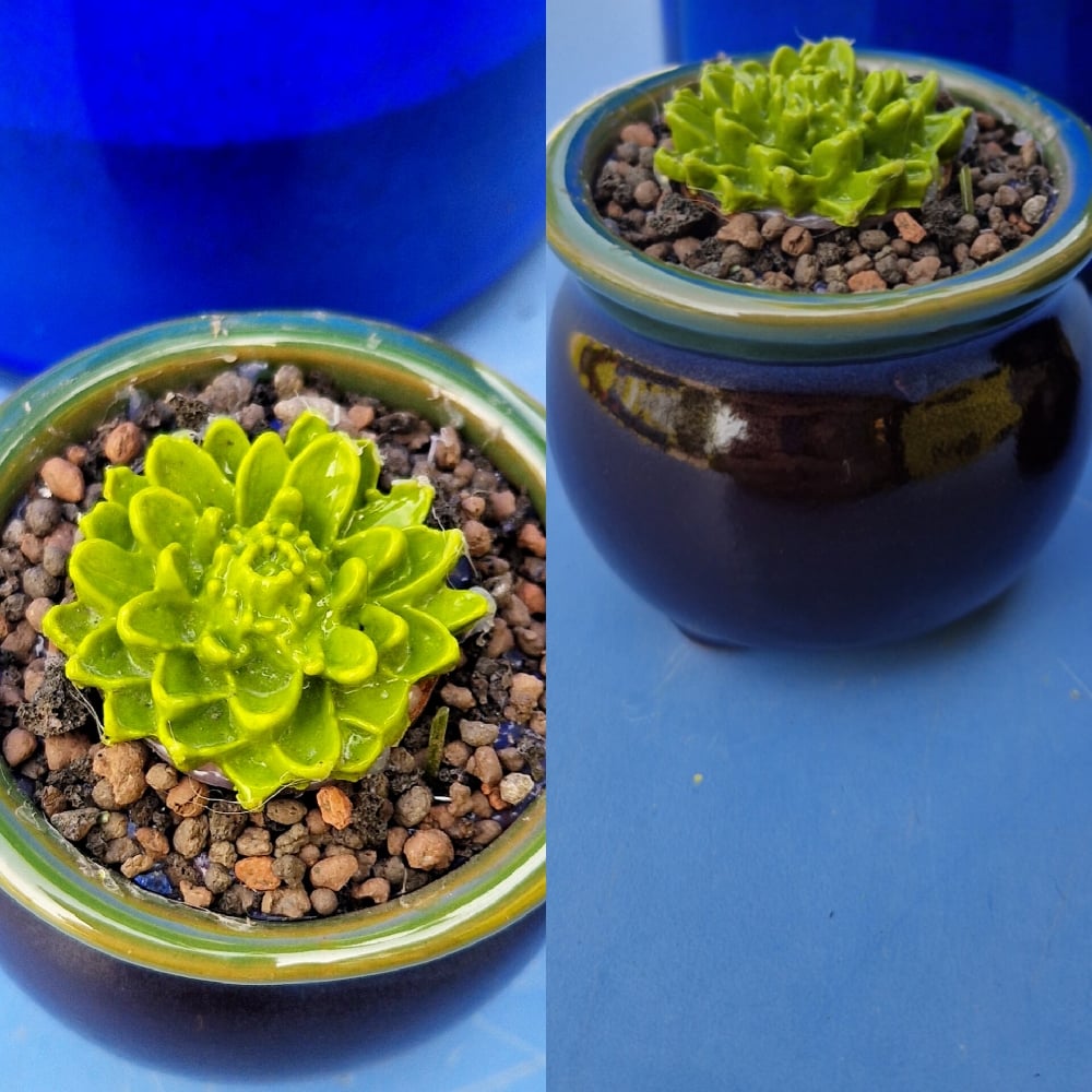 Image of Fused Glass Moss Green Baby Succulent in pot