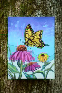 Image 1 of Soft as Summer