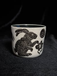 Image 1 of Crazy animals