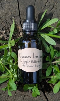 Image 1 of Cleavers Tincture