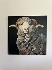 Image 2 of “SIR RICHARD”