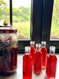 Image 3 of SIDRA DE FUEGO  DE BAYAS DE SAÚCO