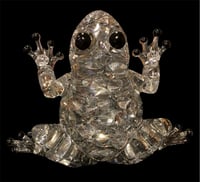 Image 2 of Small Frogs