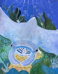 Manta Ray Print 
