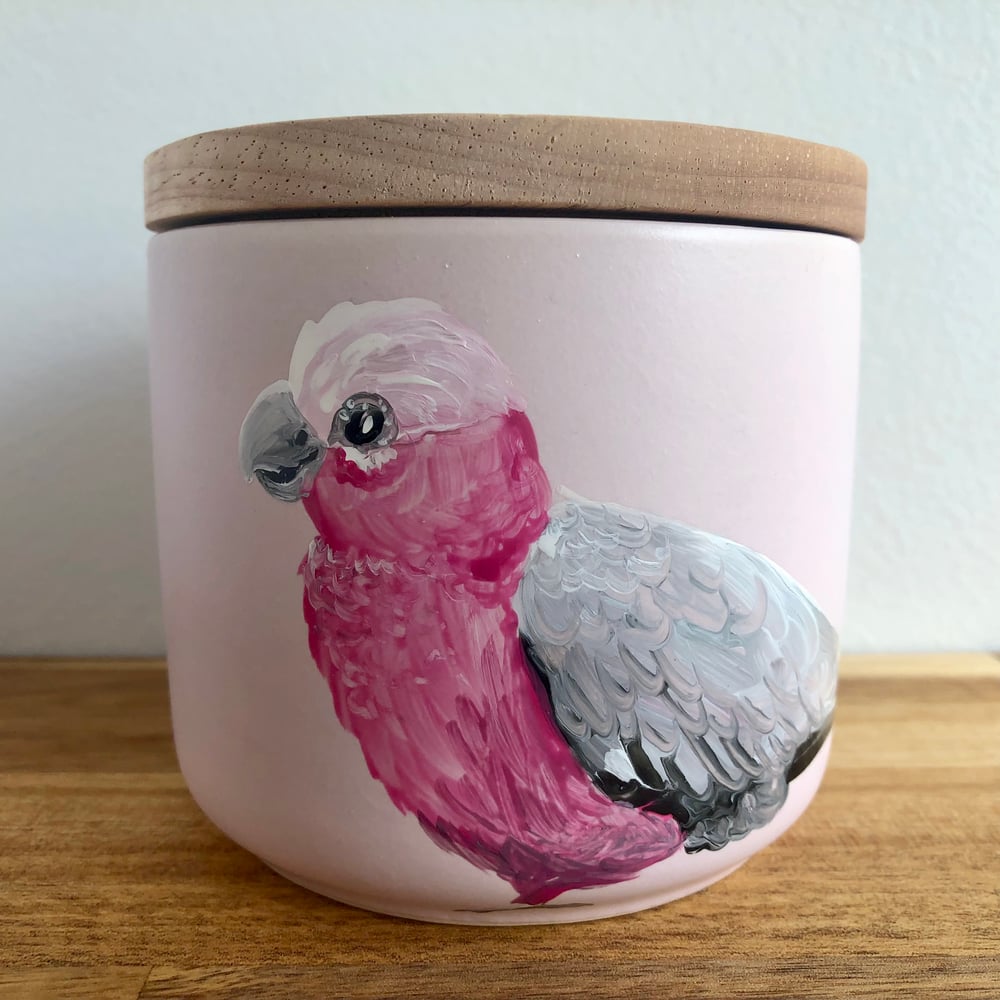 Pink Galah Canister