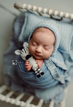 Image of Zebra lovey 