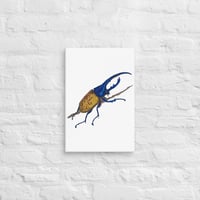 Image 4 of Canvas of Hercules Beetle