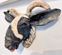 Image 5 of Born to be baaaa'd- Julie Kradel