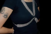 Image 2 of Locus Harness