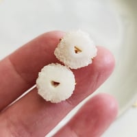 Image 3 of Solar, Gifted to Scarlett Johansson