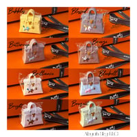 Stylish Vent Freshner Clips