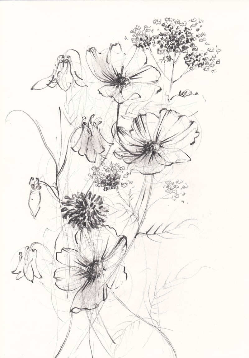 may-wildflowers-5-claudia-lowry