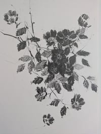Wild rose no. I