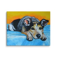 Image 2 of Blue Heeler Sunrise Sunset
