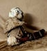 Image of Freaks of OZ. Primitive Wheeler Available 8/26 @ 8pm Eastern Time.