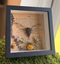 Image 2 of Gilded Cicada