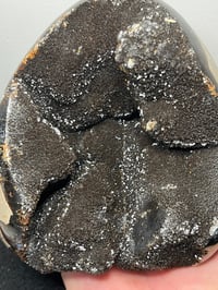 Image 9 of Septarian Nodule Polished Freeform | Madagascar #2897