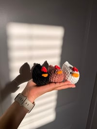 Image 3 of Mini Chickens 