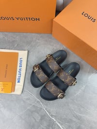 Image 3 of LV brown slides