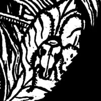 Image 4 of Skunk & Elderberries