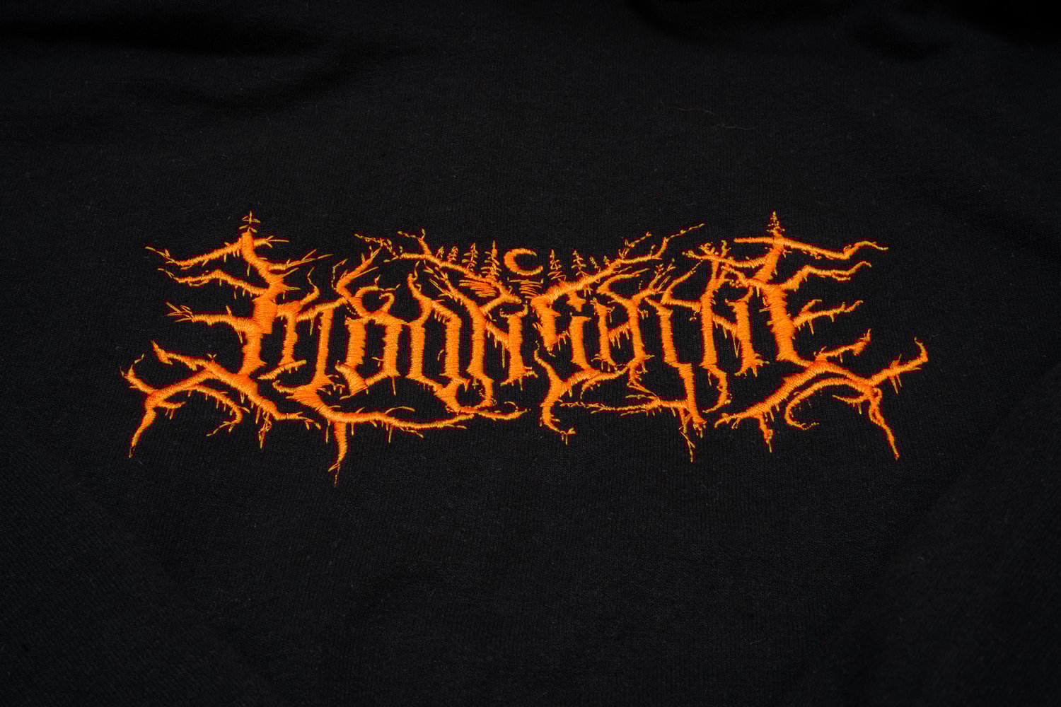 Image of Lorna shine Champion Hoodie