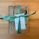 Image 2 of Insect notebooks