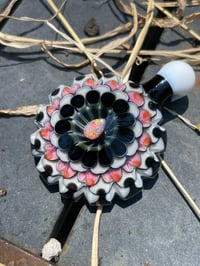 Image 5 of Magenta Cactus Flower