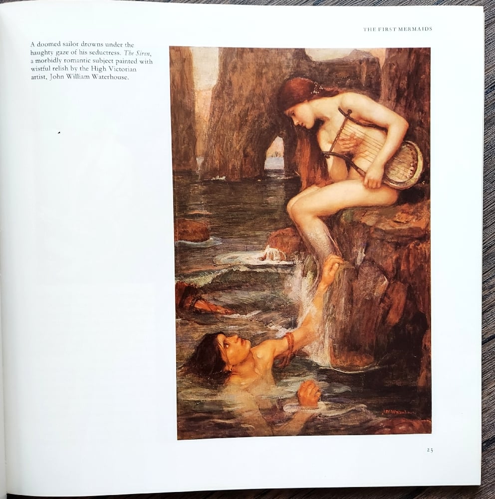 Mermaids by Beatrice Phillpotts