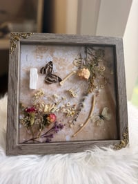 Image 1 of Selenite & Bones