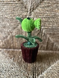 Image 2 of Pea Shooter in pot ~~ Plants vs Zombie