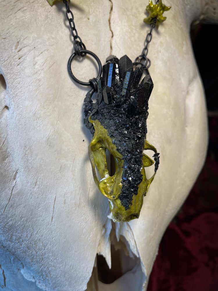 Image of Crystallized Mink Skull - Black Chain Necklace