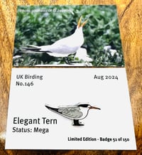 Image 1 of Elegant Tern - No.146 - UK Birding Pins