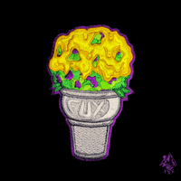 Blackberry Honey Cone 