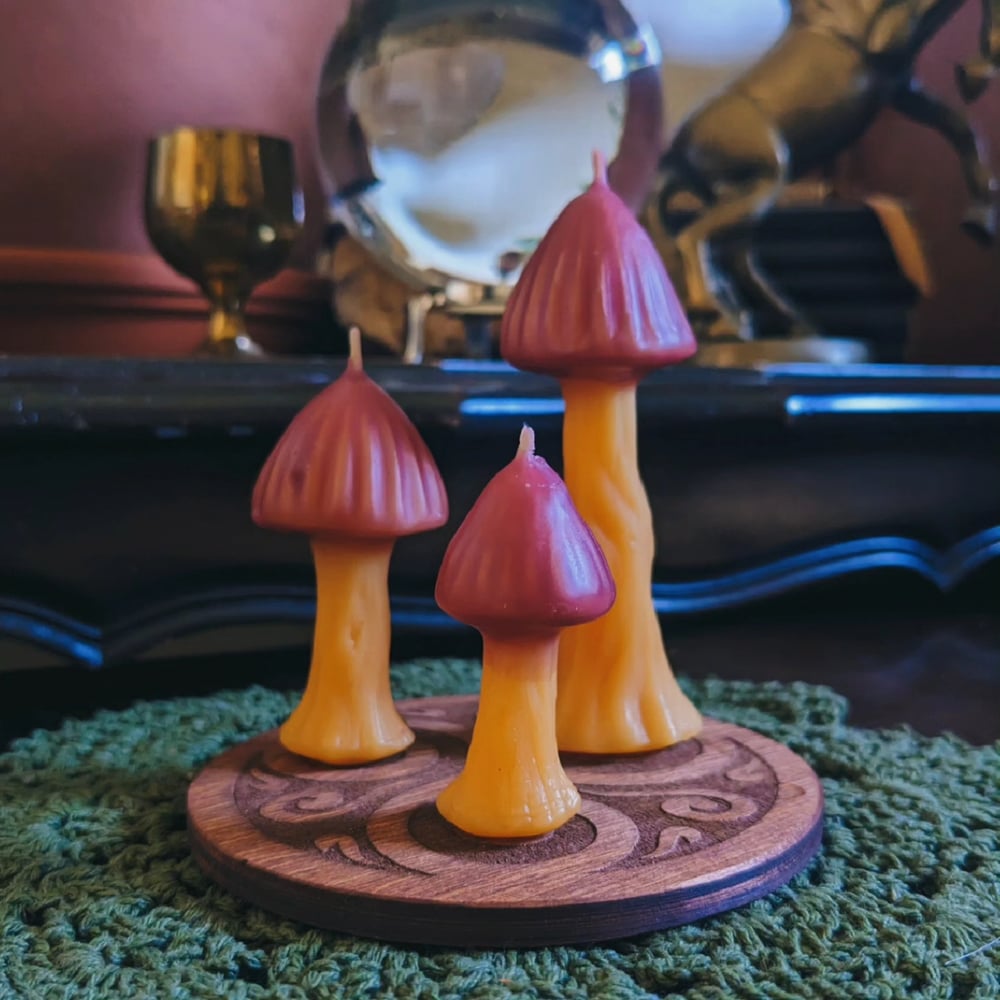 Image of Mini mushroom candle set