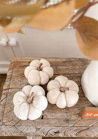 Image 1 of SALE! White Velvet Pumpkins ( Set of 3 )