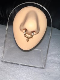 Snake Septum