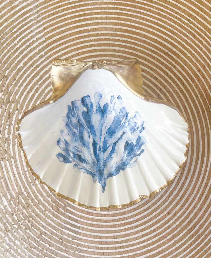 Image of Blue Coral - Medium Shell Trinket Dish
