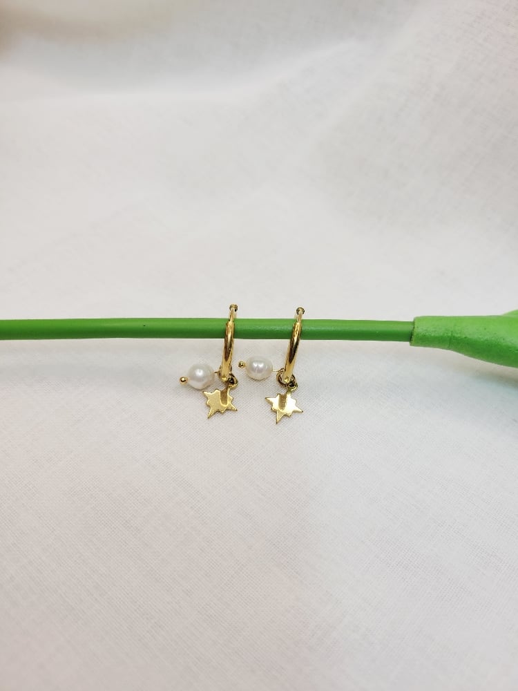 Image of Angel Earrings 