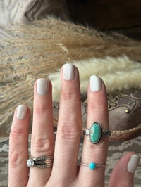 Image 4 of The Sage Rider