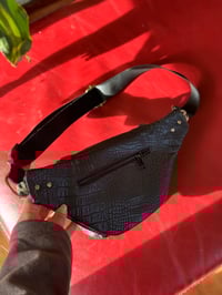 Image 4 of Leo Funny Pack