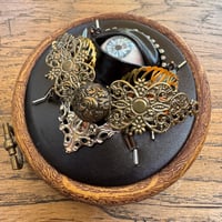 Image 3 of Beetle (b, 3.5 inches)