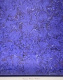 Royal Hyacinth - Permanent Collection