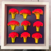 Everything changes 9 Broccolis
