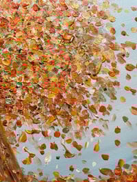 Image 4 of October Moments