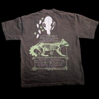 Image 2 of -little bandit: forrest-