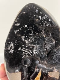 Image 2 of Septarian Nodule Polished Freeform With Calcite Inclusions| Madagascar #2899